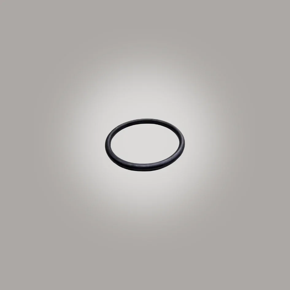 WASHR FLO O-Ring (69x2.65)